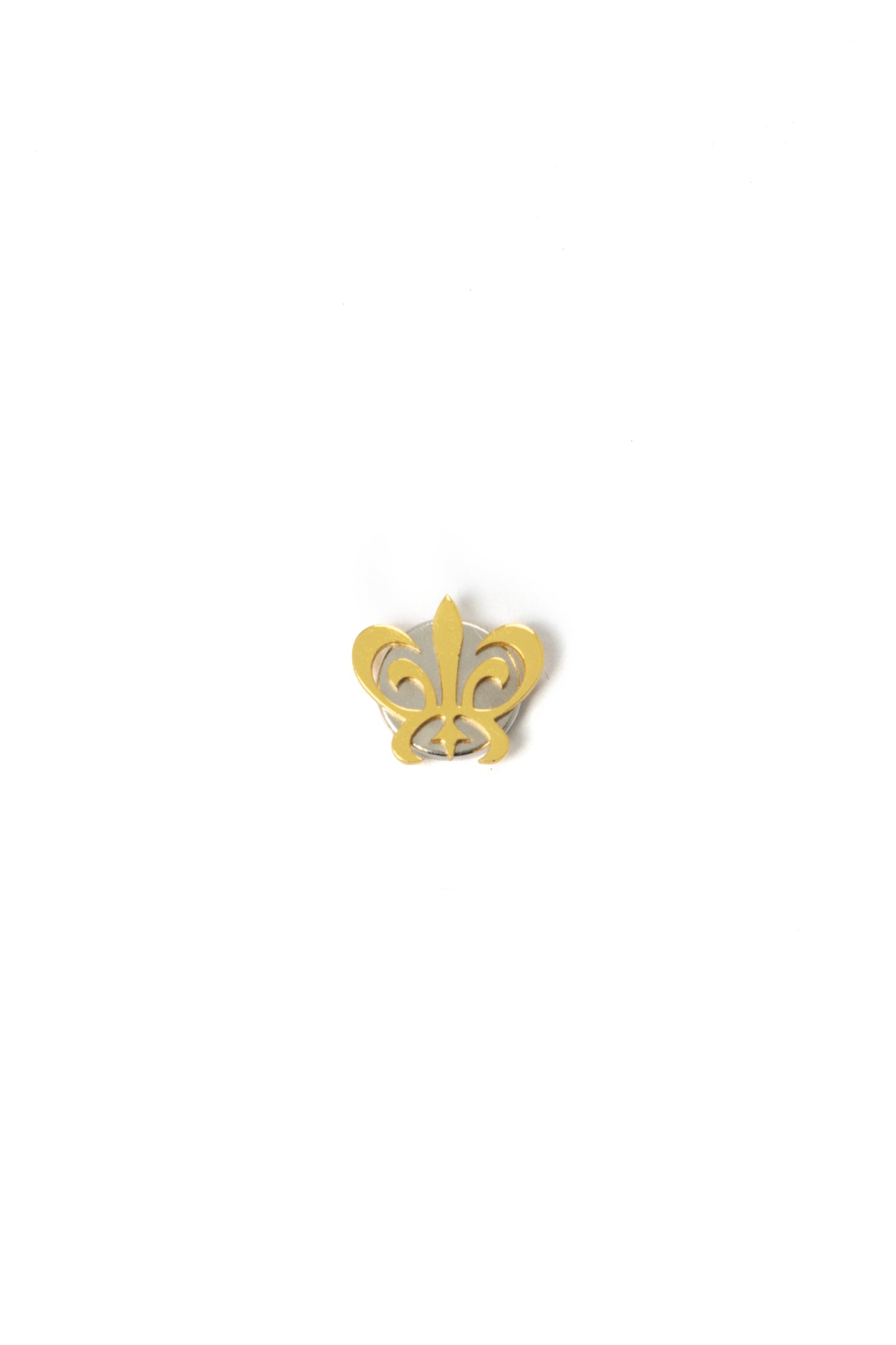 Small pins with magnet - Gold